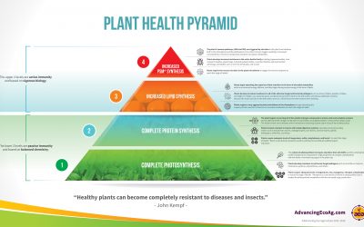 Beyond Organic: Plant & Soil Health